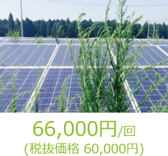 66,000円 / 回（税込）